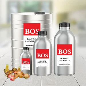 Galangal Oil
