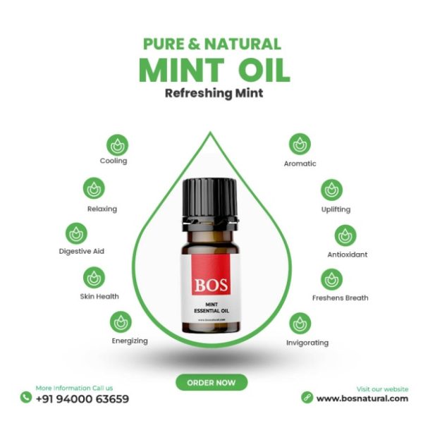 Mint Oil