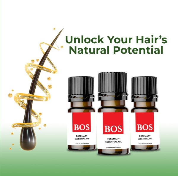 Rosemary Oil for Hair Growth (25g)