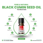 Black Cumin Seed Oil