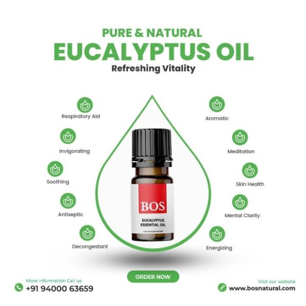 Pack of 12 Essential Oil