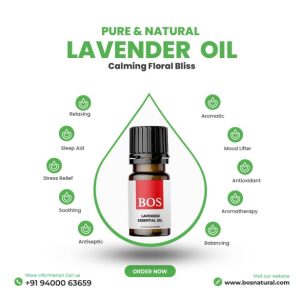 LAVENDER-OIL-copy