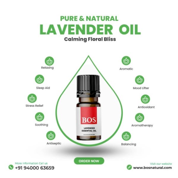Pack of 4 Essential Oil