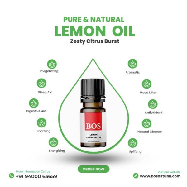 Pack of 12 Essential Oil