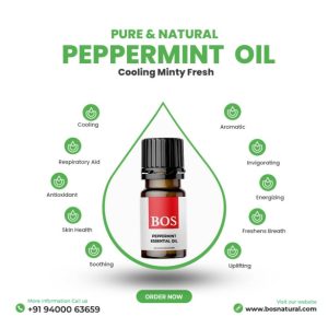PEPPERMINT-OIL-copy