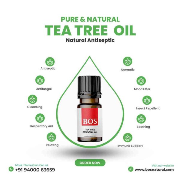 Pack of 4 Essential Oil