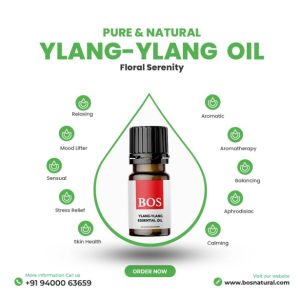 YLANG-YLANG-OIL-copy
