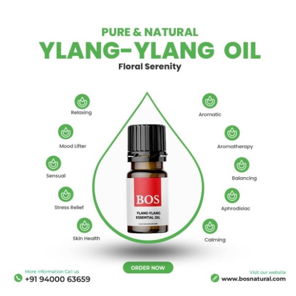 Ylang Ylang Essential Oil (25g)